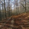 Monte Breccioso